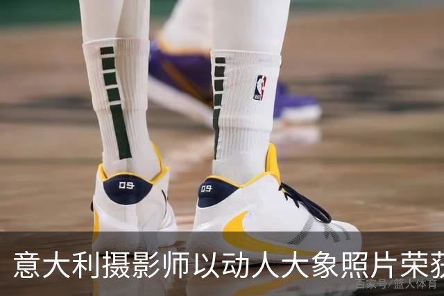 意大利摄影师以动人大象照片荣获2026年野生动物摄影师荣誉