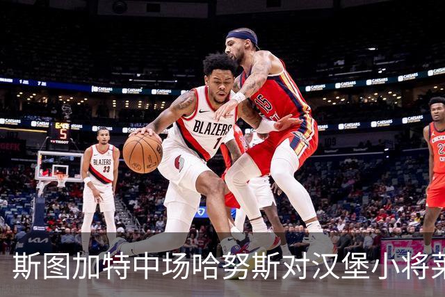 斯图加特中场哈努斯对汉堡小将莱姆克的意外道歉